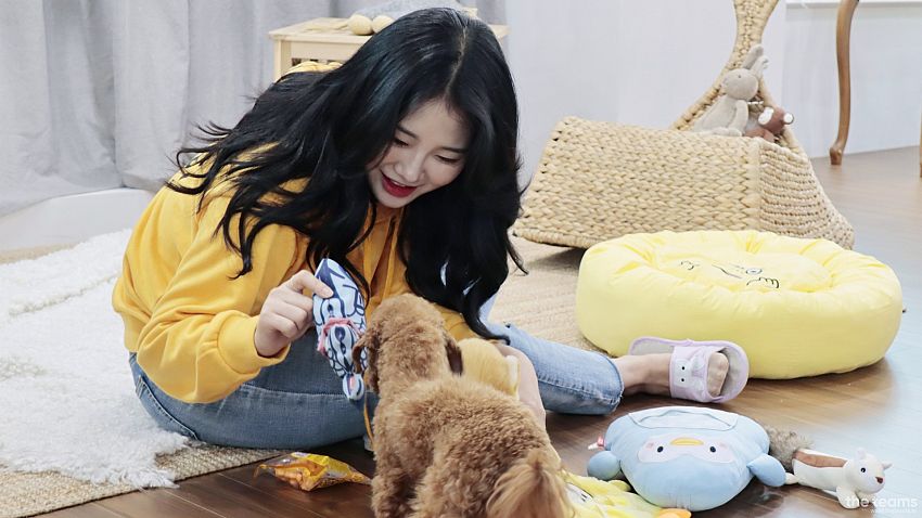 펫트너 - [펫트너] 수의사가 직접 설립한 펫시팅 플랫폼. 애슐리 대표, 양이삭 데이터 책임자 팀터뷰 사진  (더팀스 제공)