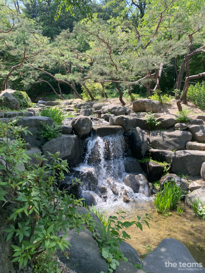 썬데이나마스떼 - 건강한 삶을 쉽고 즐겁게! 썬데이나마스떼 팀터뷰 사진 2 (더팀스 제공)