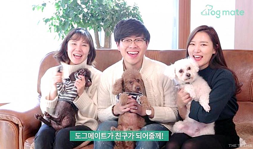 주식회사 도그메이트 - '가족을 아무에게나 맡길 수 없죠.' 도그메이트 팀터뷰 사진 16 (더팀스 제공)
