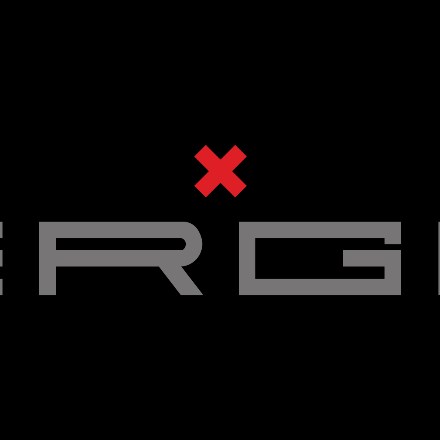 TEAM ERGO