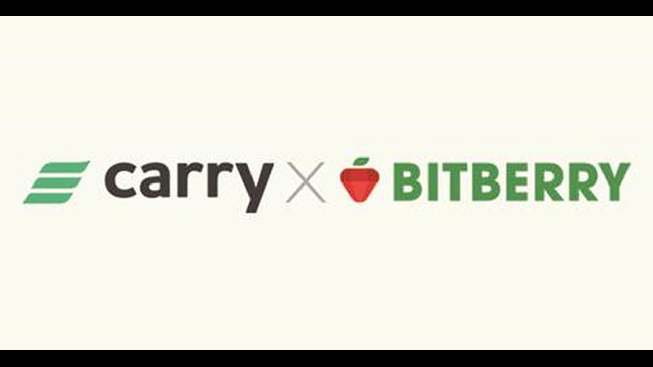 캐리프로토콜 | 더팀스