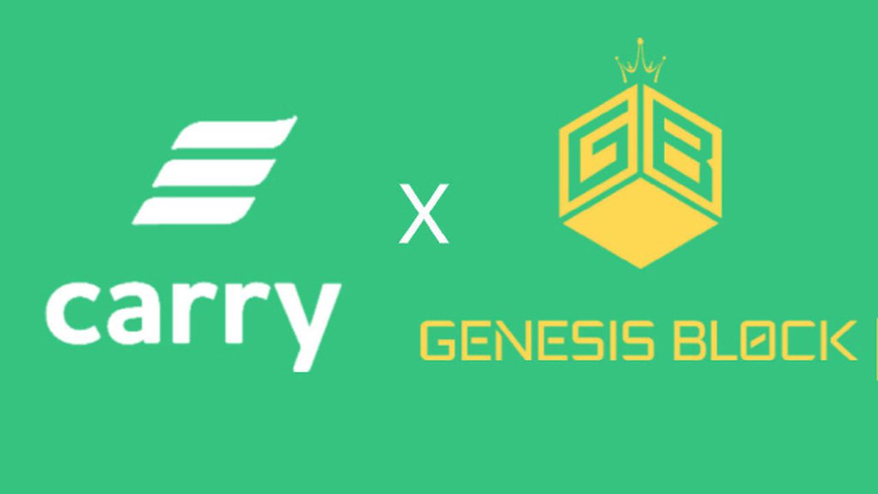 캐리프로토콜 | 더팀스