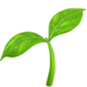 🌱