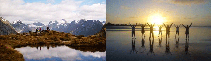 nz_29.gif