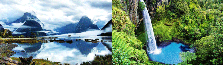 nz_11.gif