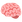 :뇌: