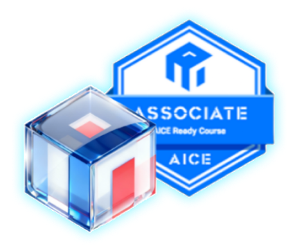 AICE Associate