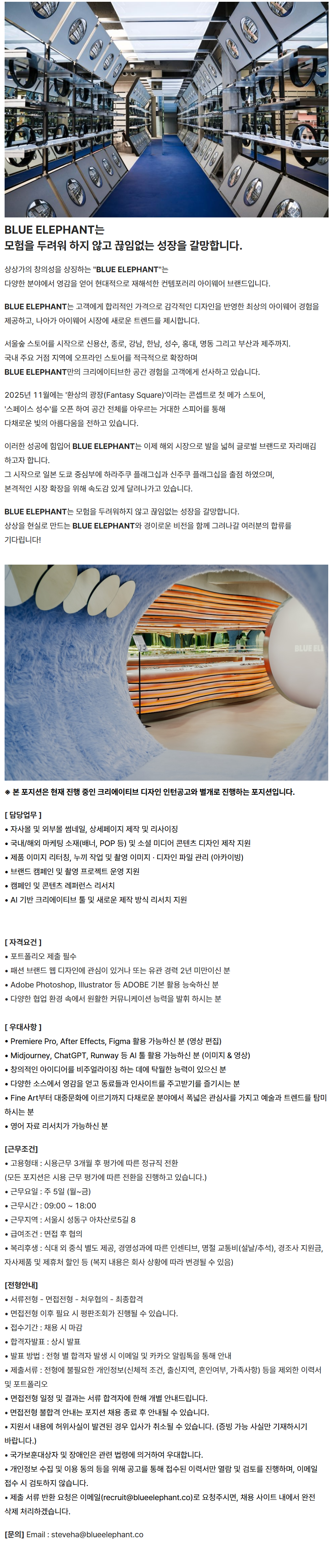 screencapture-recruit-blueelephant-co-job-posting-bB3r97mx-2026-07-14-11_29_46.png