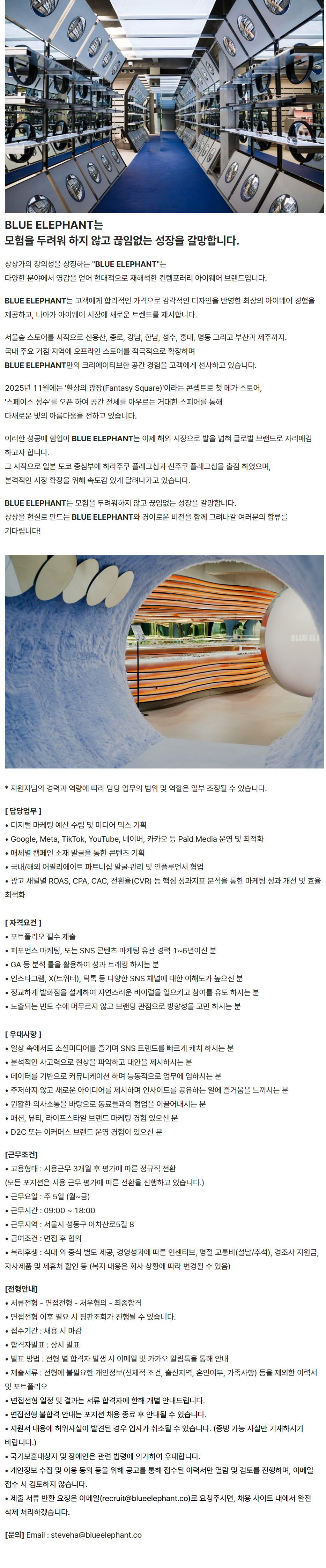 screencapture-recruit-blueelephant-co-job-posting-2rNEmEUV-2026-07-23-15_42_45.png