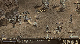 Lineage Screenshot Ingame