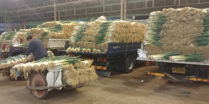 풀무원 인턴과정