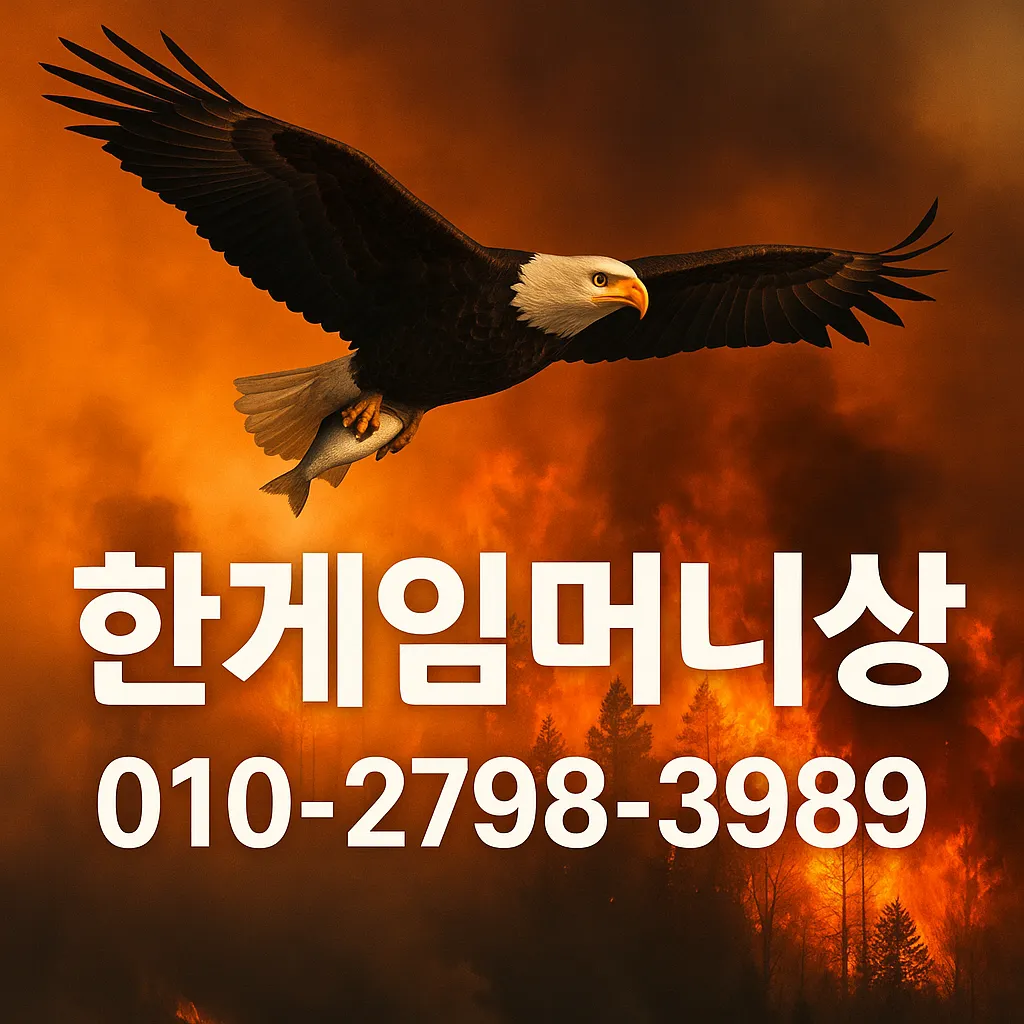24시간 거래하는 머니상 인증