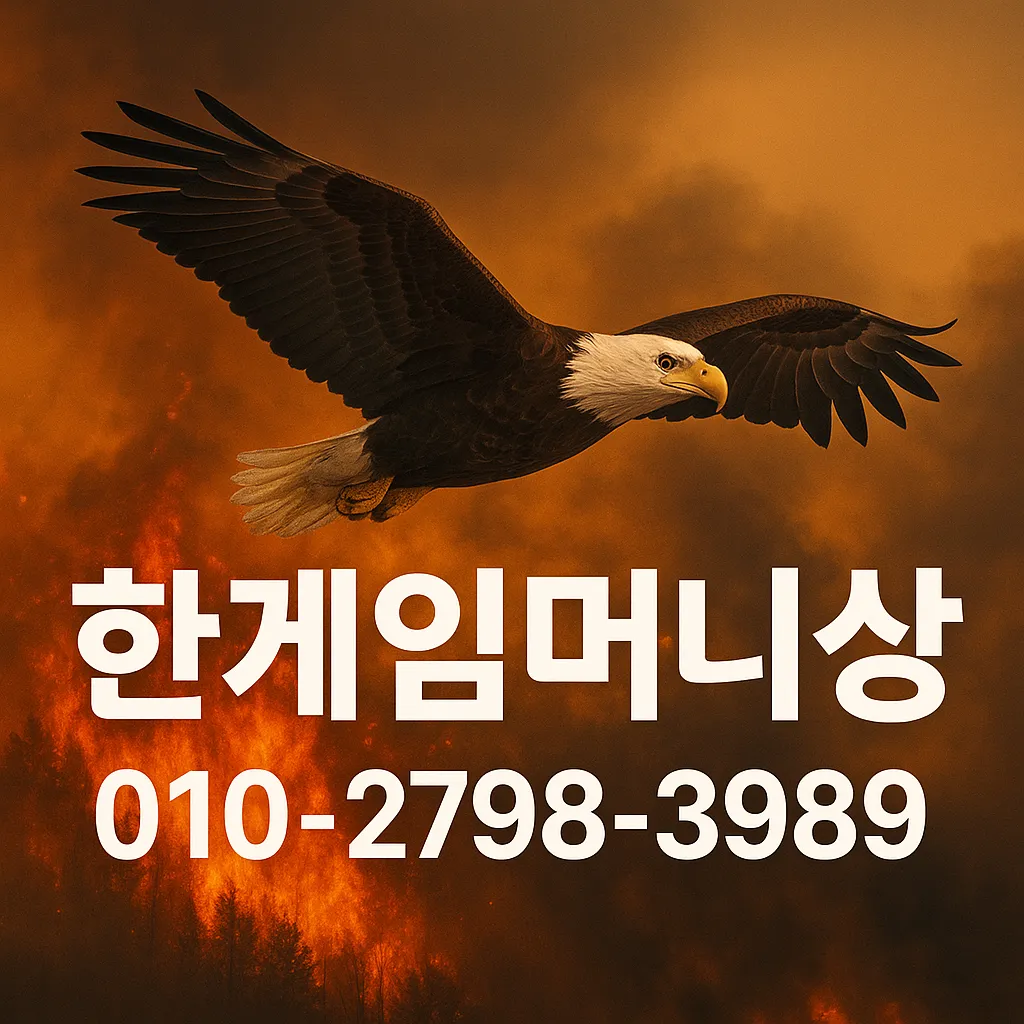 다양한 환전상 비교