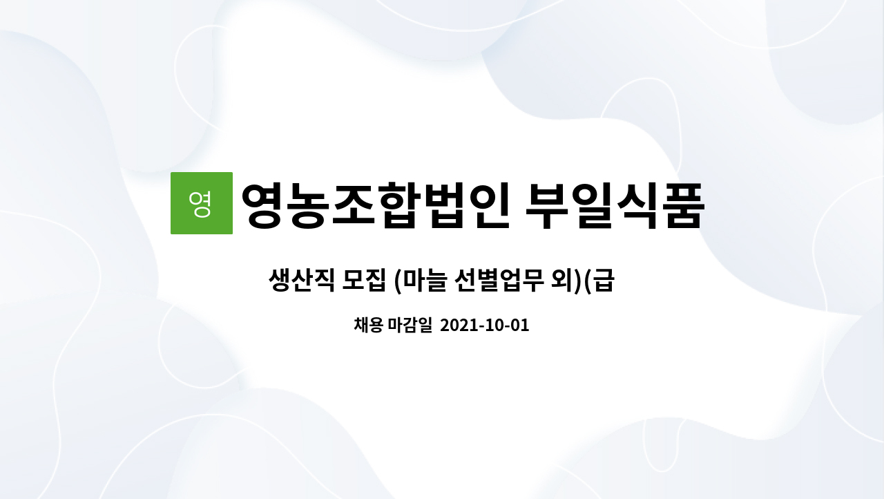 영농조합법인 부일식품 : 생산직 모집 (마늘 선별업무 외)(급구) | 더팀스 생산직 모집 (마늘 선별업무 외)(급구) by 영농조합법인 부일식품
