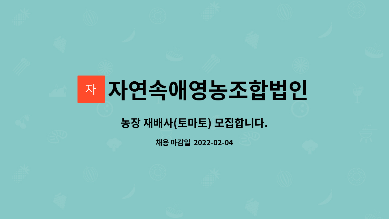 자연속애영농조합법인 : 농장 재배사(토마토) 모집합니다. | 더팀스 농장 재배사(토마토) 모집합니다. by 자연속애영농조합법인