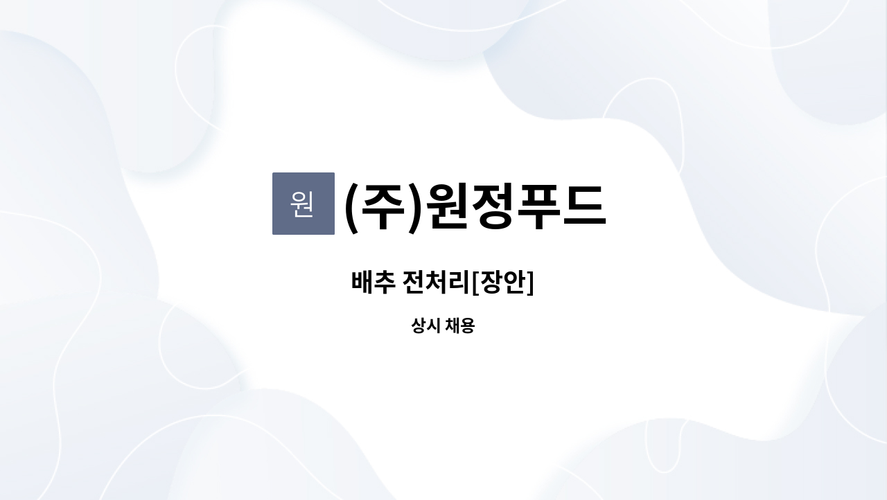 (주)원정푸드 : 배추 전처리[장안] | 더팀스 배추 전처리[장안] by (주)원정푸드