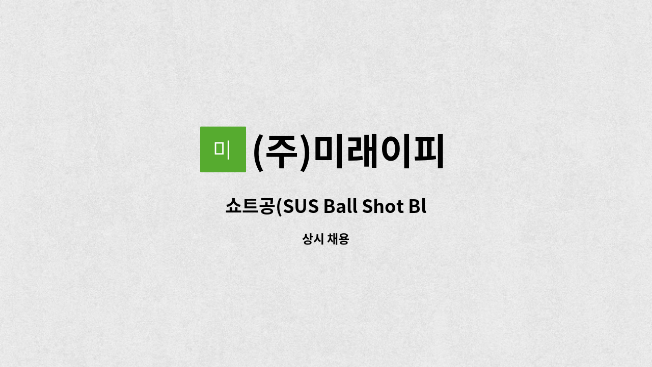 (주)미래이피 쇼트공(SUS Ball Shot Blast) 더팀스