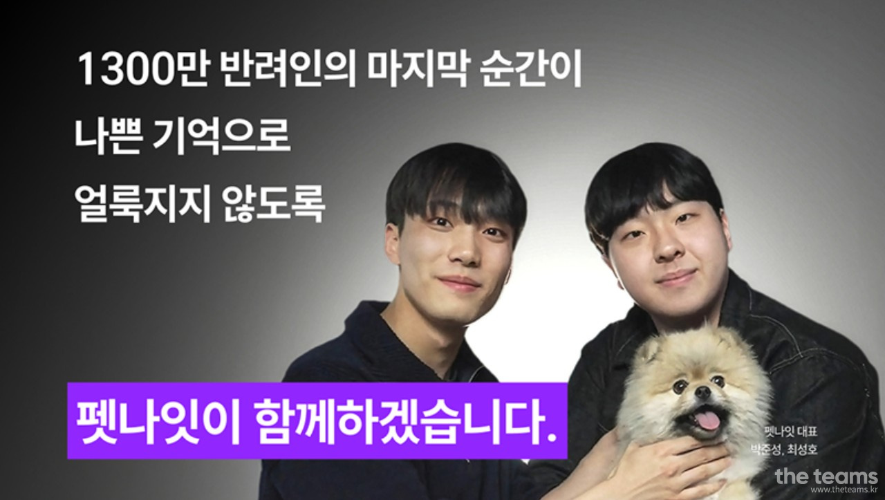  - [펫나잇] 퍼포먼스/콘텐츠 마케터 채용 : 채용 메인 사진 (더팀스 제공)