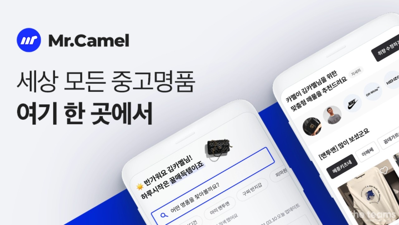 미스터카멜 - 미스터카멜(Mr.Camel) 프론트엔드 개발자 경력직 채용 : 채용 메인 사진 (더팀스 제공)