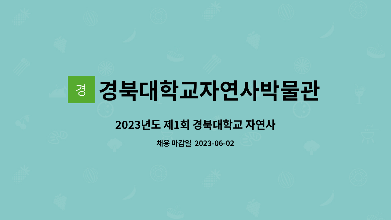 경북대학교자연사박물관 - 2023년도 제1회 경북대학교 자연사박물관 연구보조원(기간제) 공개채용 : 채용 메인 사진 (더팀스 제공)