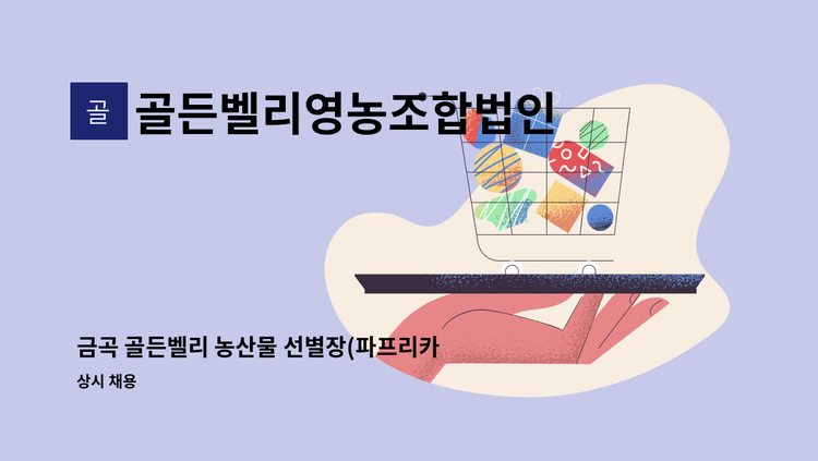 골든벨리영농조합법인 - 금곡 골든벨리 농산물 선별장(파프리카, 고추류)  사무직 직원 모집 : 채용 메인 사진 (더팀스 제공)