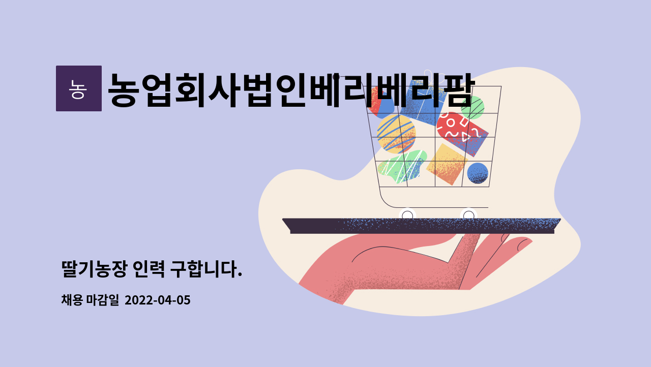 농업회사법인베리베리팜주식회사 - 딸기농장 인력 구합니다. : 채용 메인 사진 (더팀스 제공)