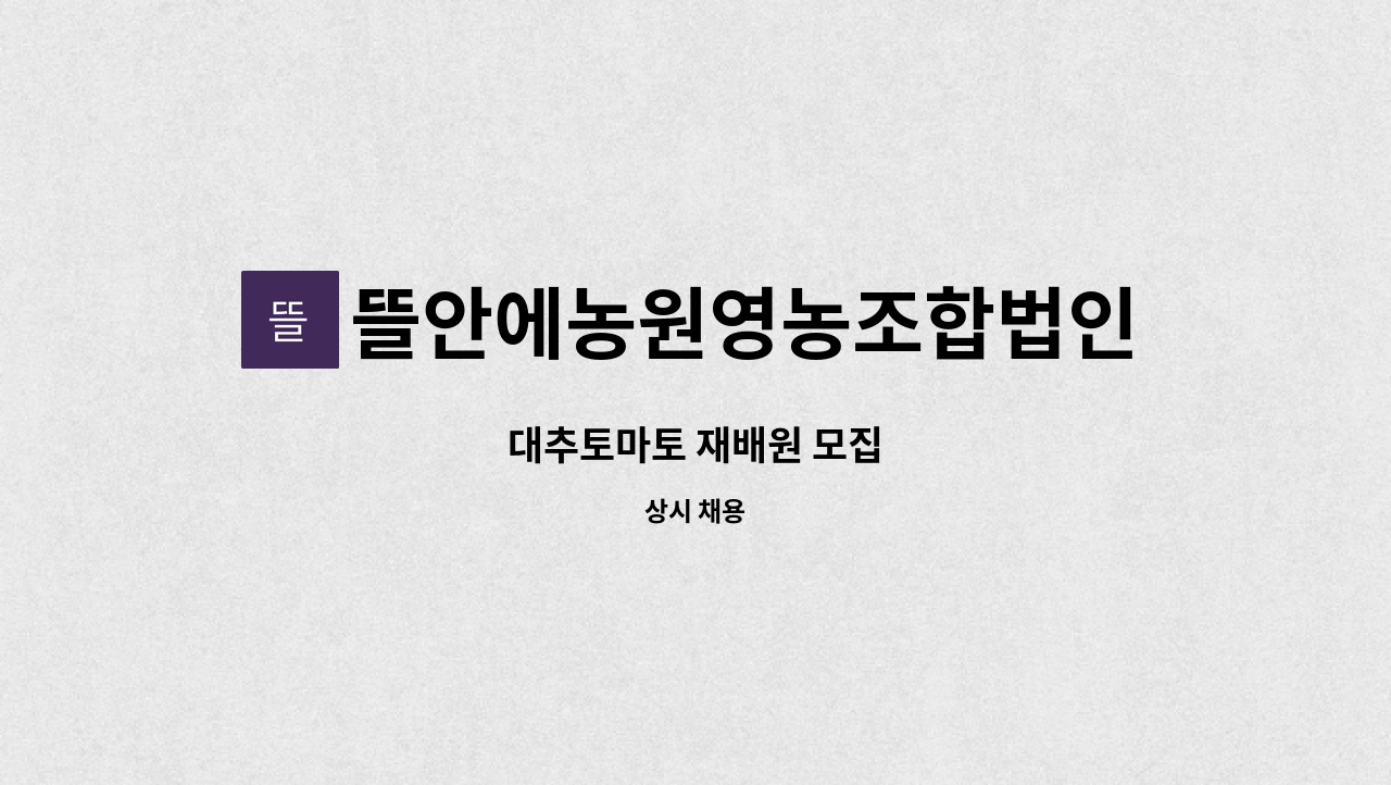 뜰안에농원영농조합법인 - 대추토마토 재배원 모집 : 채용 메인 사진 (더팀스 제공)