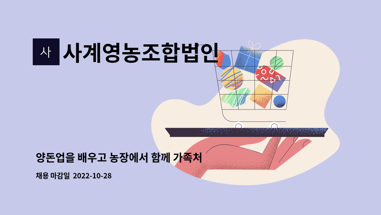 사계영농조합법인 - 양돈업을 배우고 농장에서 함께 가족처럼 근무할 인재를 구합니다. : 채용 메인 사진 (더팀스 제공)