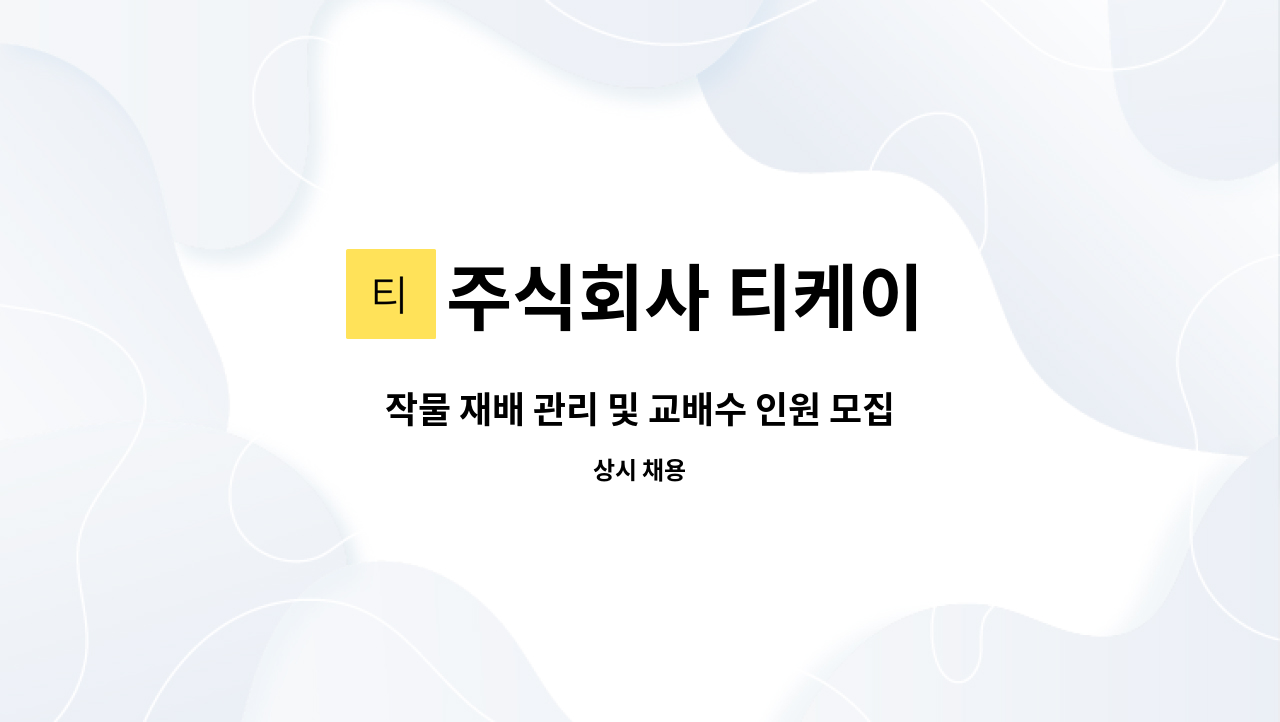 주식회사 티케이 - 작물 재배 관리 및 교배수 인원 모집 : 채용 메인 사진 (더팀스 제공)