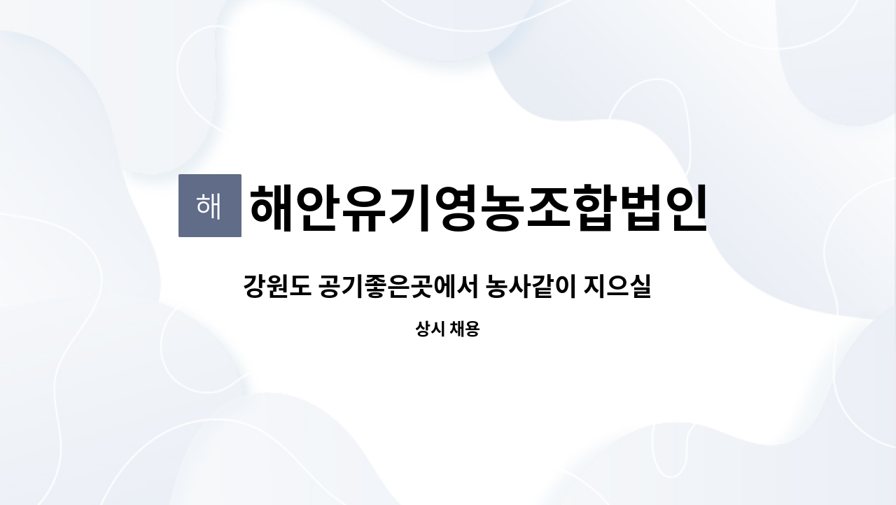 해안유기영농조합법인 - 강원도 공기좋은곳에서 농사같이 지으실분 구합니다 : 채용 메인 사진 (더팀스 제공)